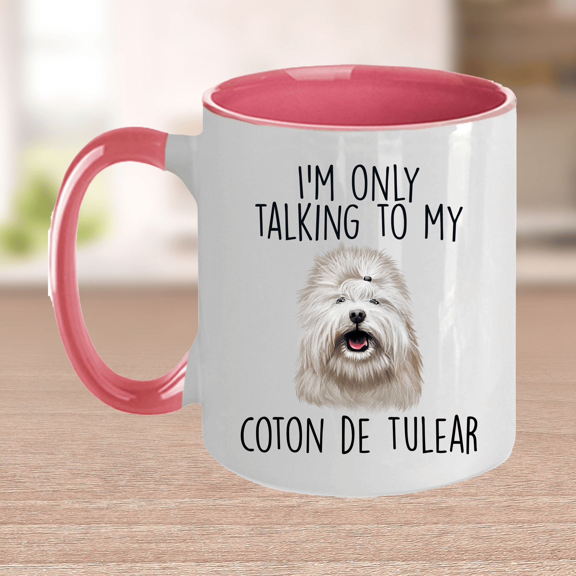 Coton de Tulear Dog