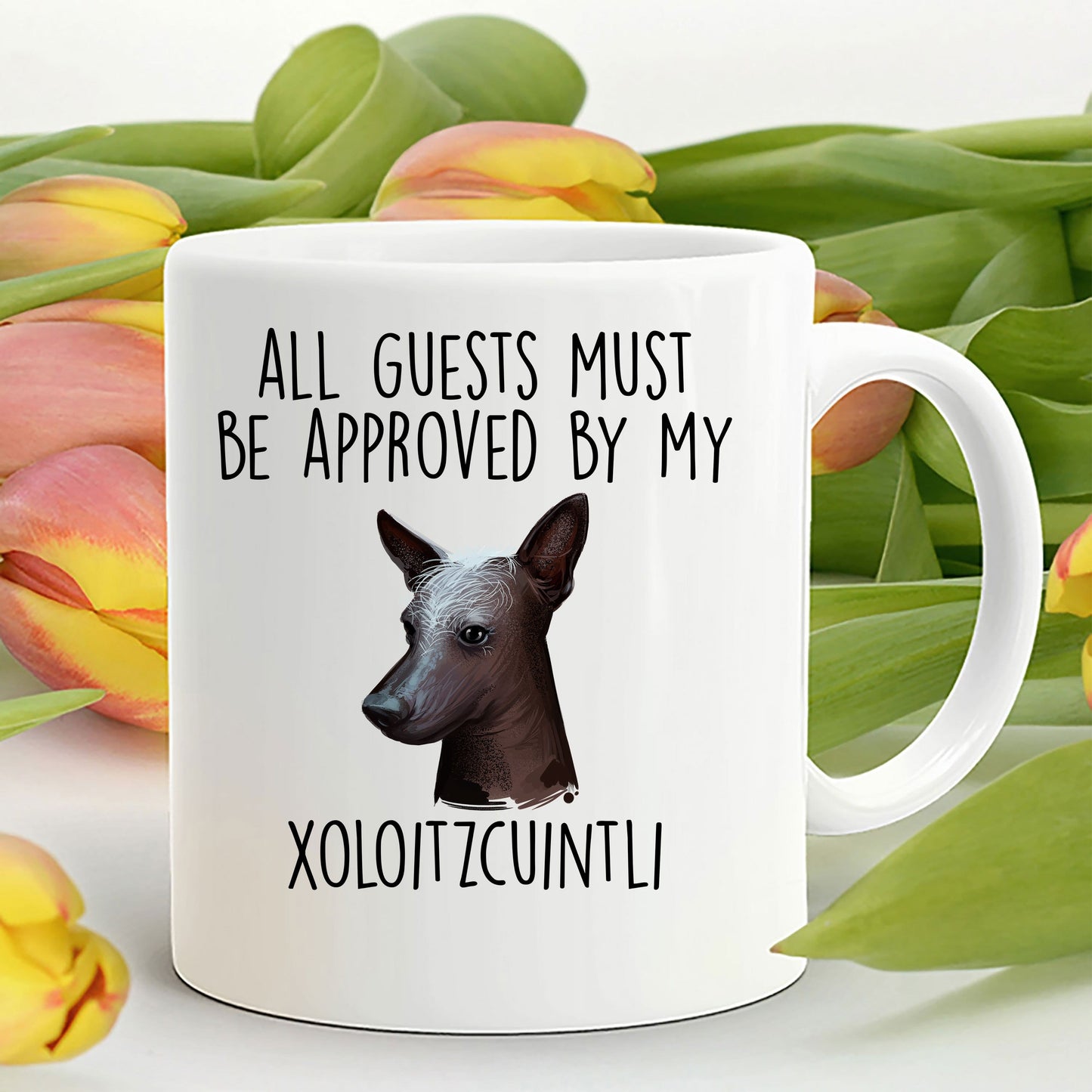 Xoloitzcuintli - Mexican Hairless Dog funny coffee Mug - All Guests must be approved