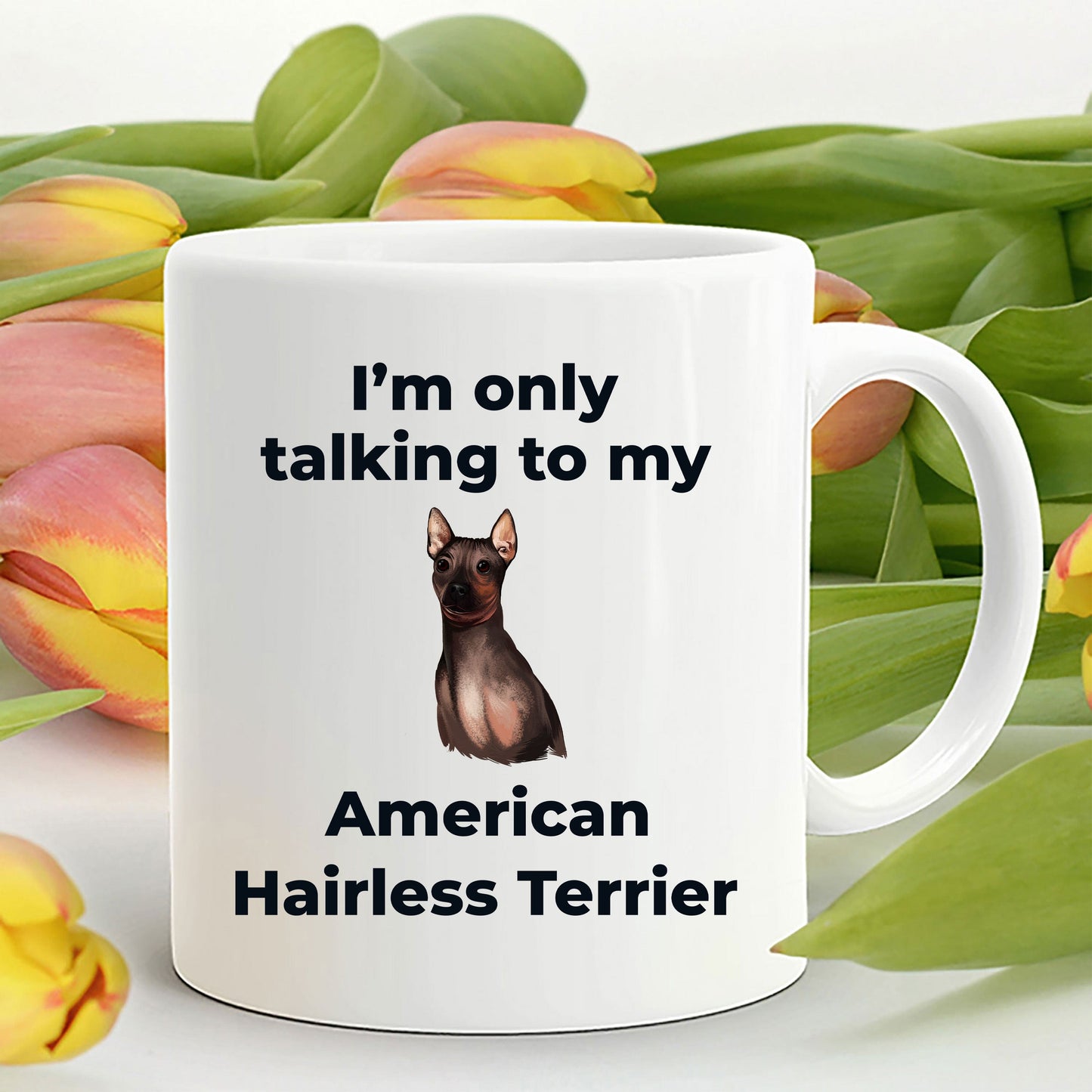 American Hairless Terrier Coffee Mug - I'm only talking to my American Hairless Terrier