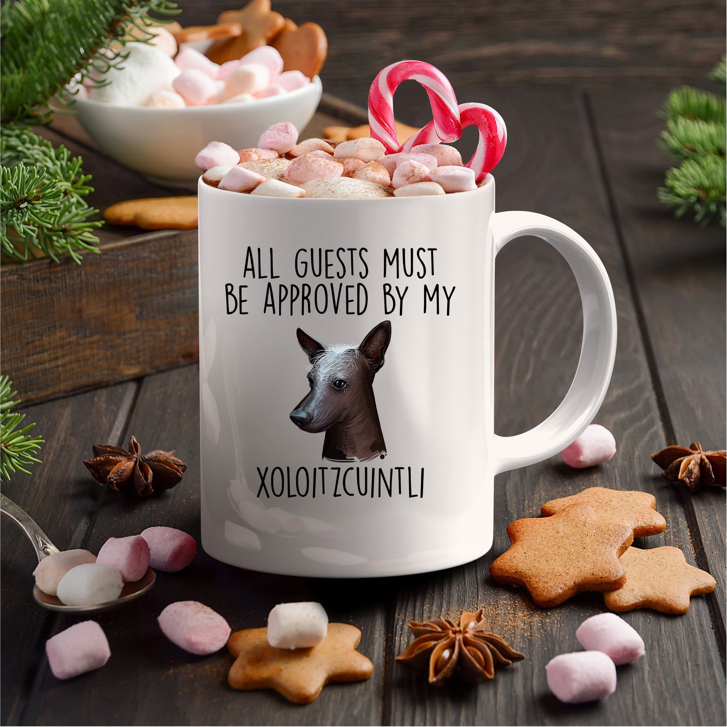 Xoloitzcuintli - Mexican Hairless Dog funny coffee Mug - All Guests must be approved