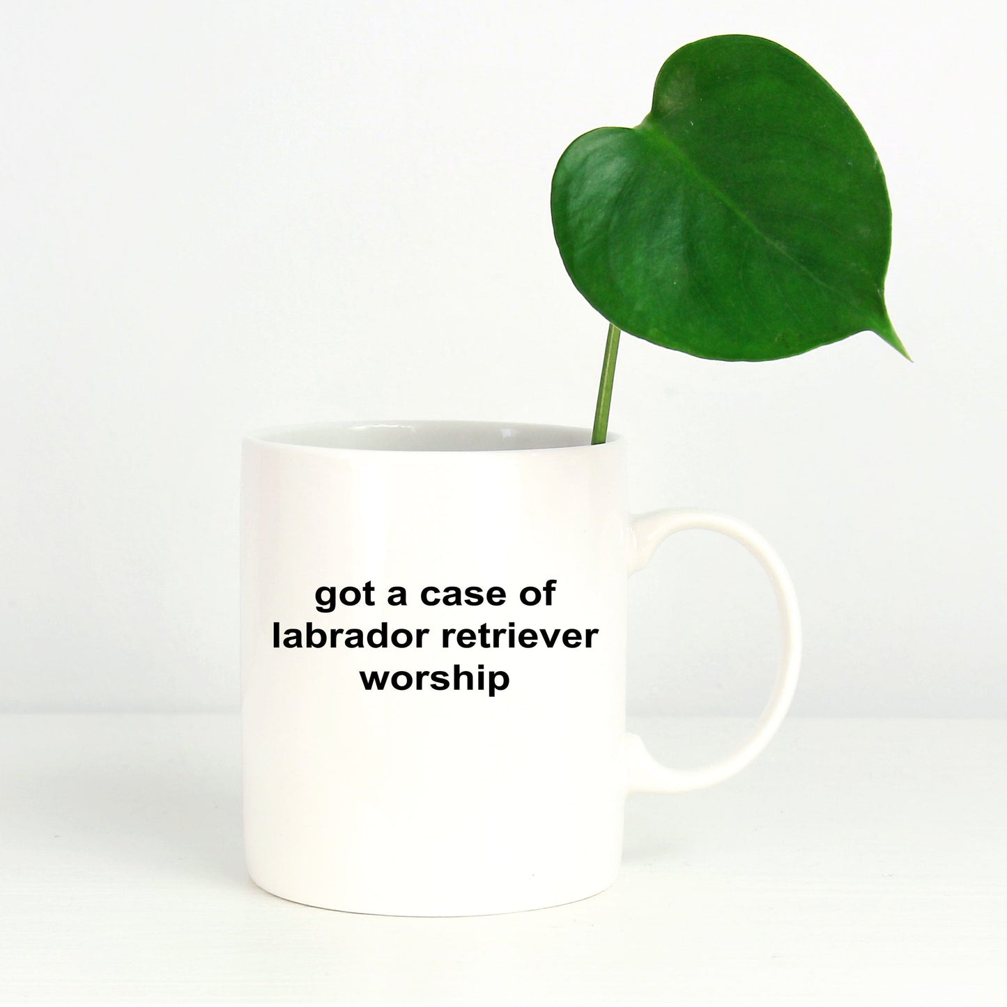 Got A Case Of Labrador Retriever Worship Ceramic Coffee Cup for Dog Lovers