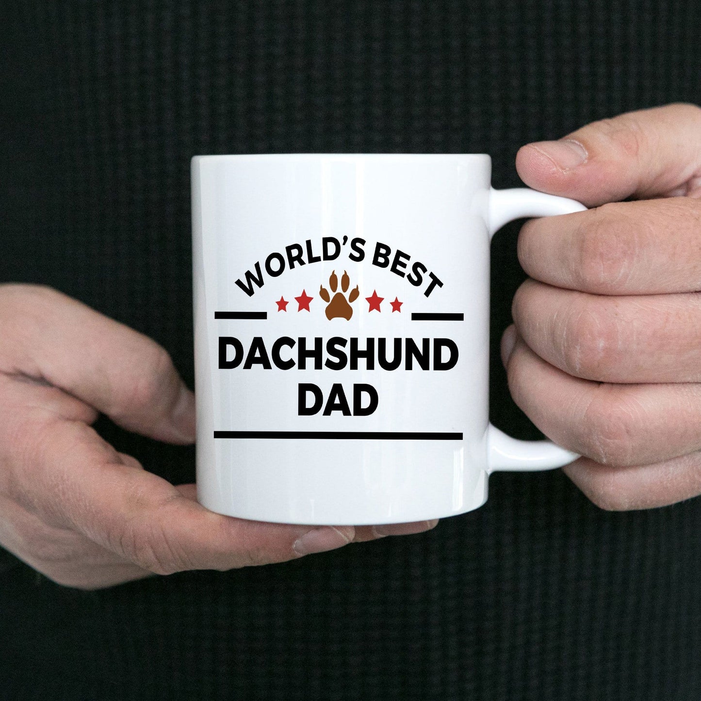 World's Best Dachshund Dad Ceramic Mug