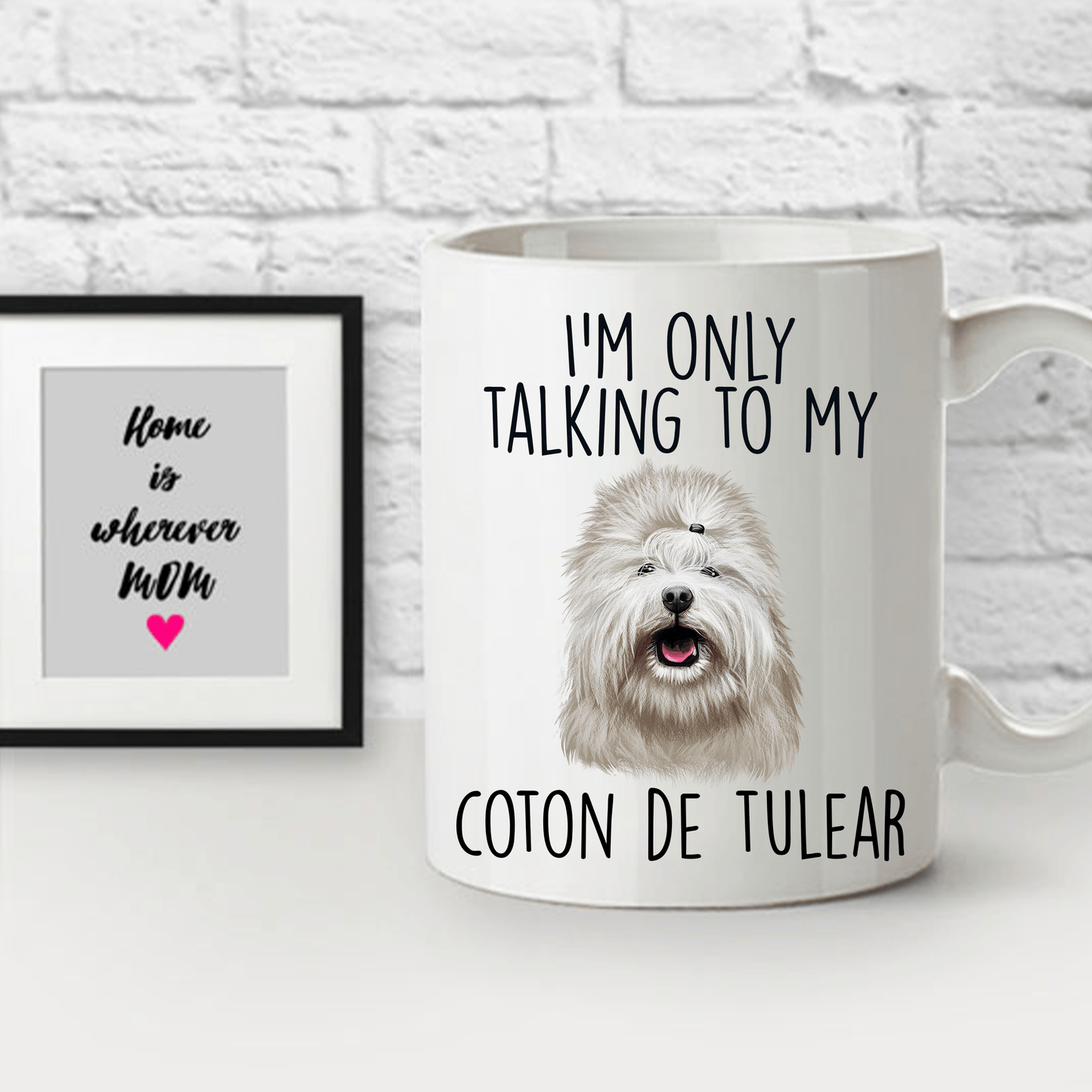 Coton de Tulear Dog