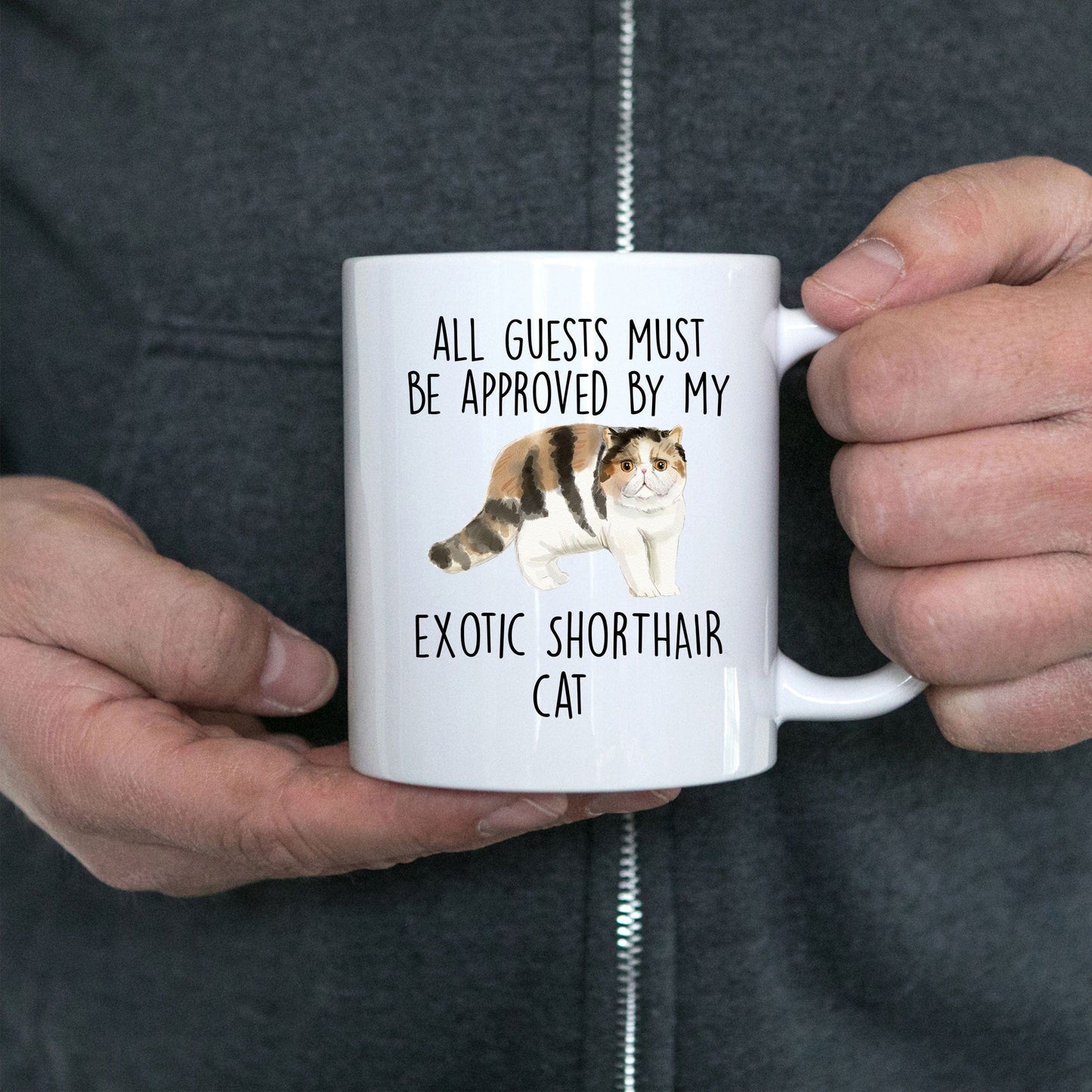 Exotic Shorthair Cat Funny Coffee Mug