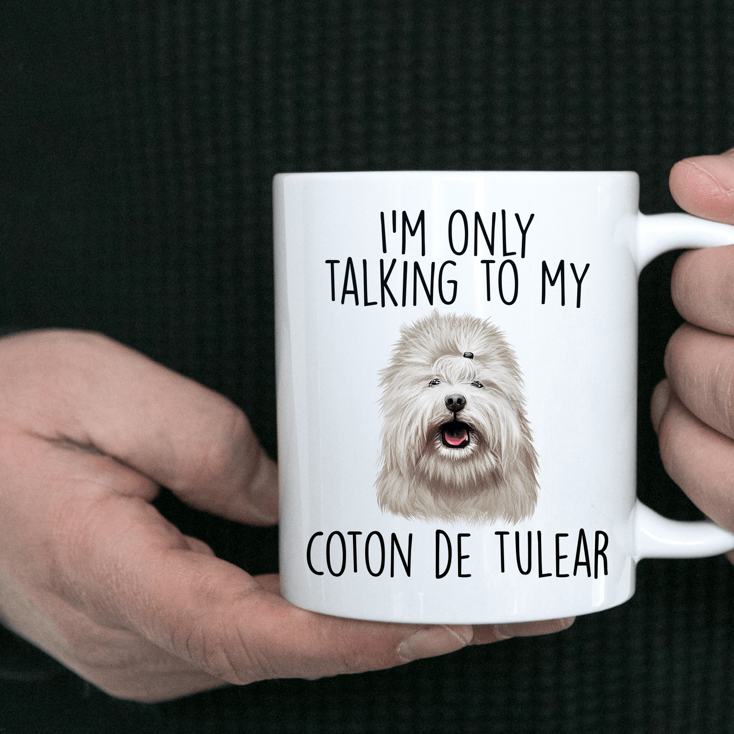 Coton de Tulear Dog