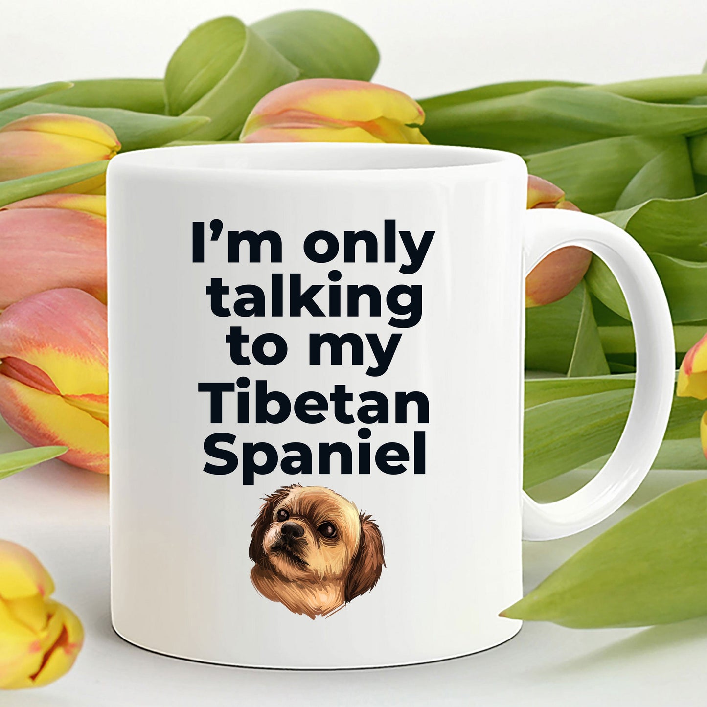 Tibetan Spaniel Dog Funny Coffee Mug Custom Photo - I'm only talking to my Tibetan Spaniel