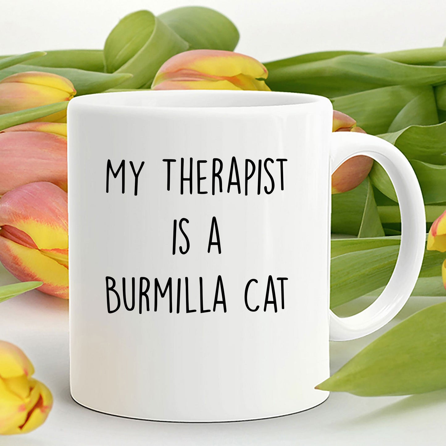 Burmilla Cat Ceramic Coffee Mug