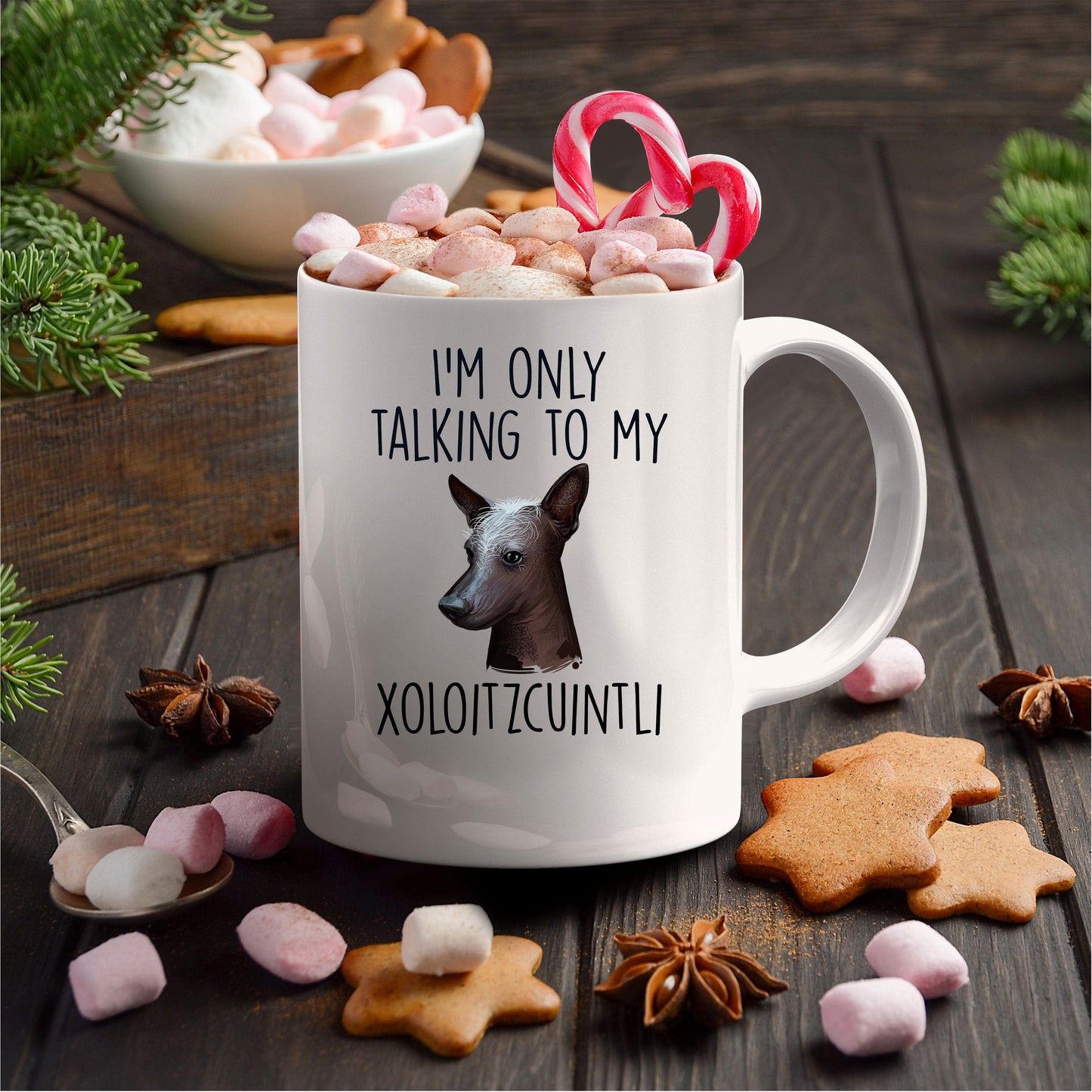 Funny Dog Coffee Mug - I'm Only Talking to my Xoloitzcuintli