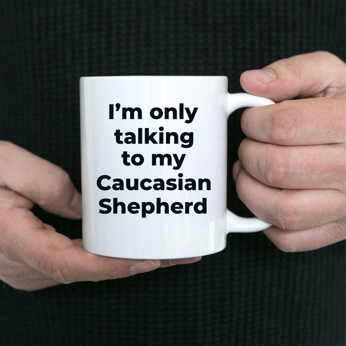 Caucasian Shepherd Dog Funny Coffee Mug - I'm only talking to my Caucasian Shepherd