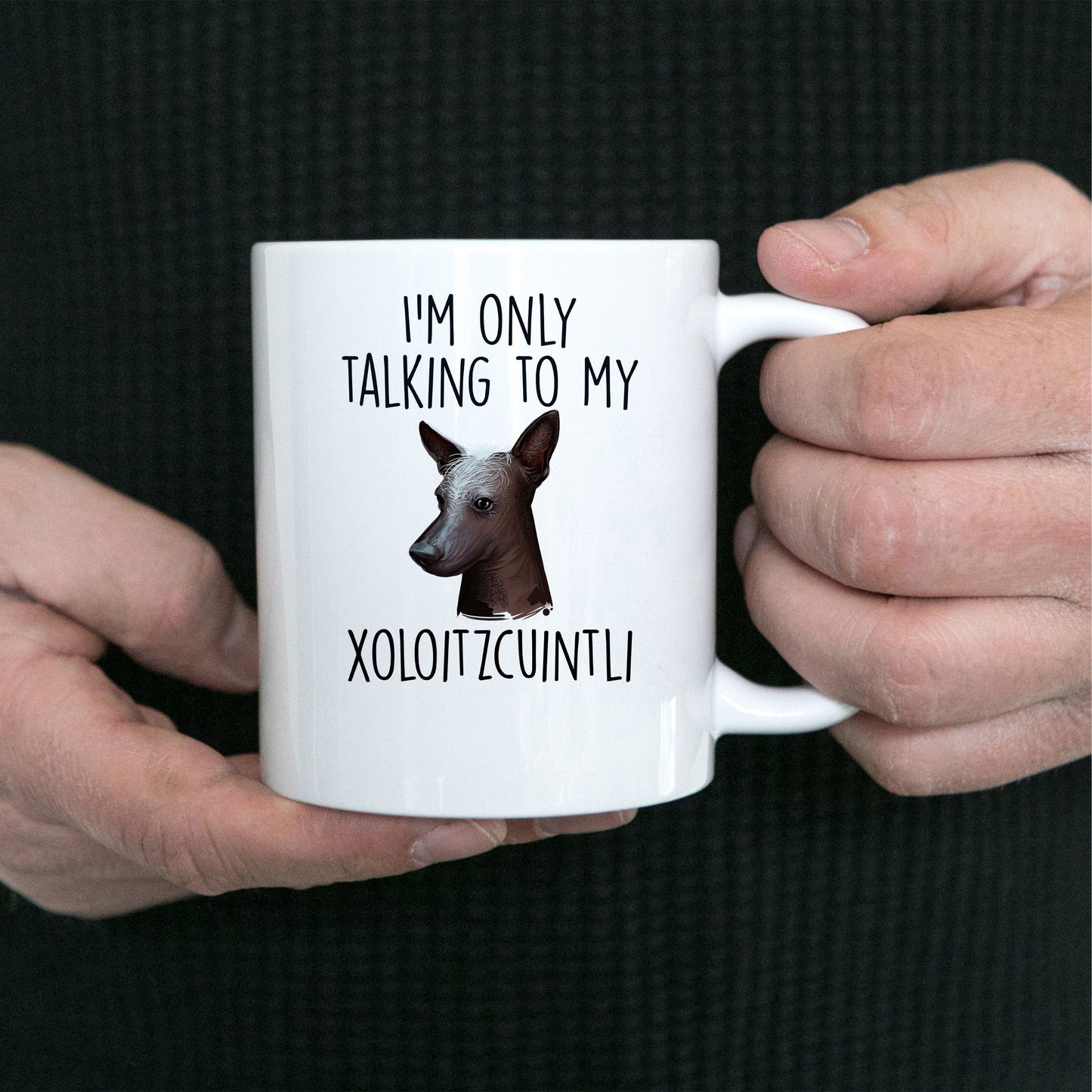 Funny Dog Coffee Mug - I'm Only Talking to my Xoloitzcuintli