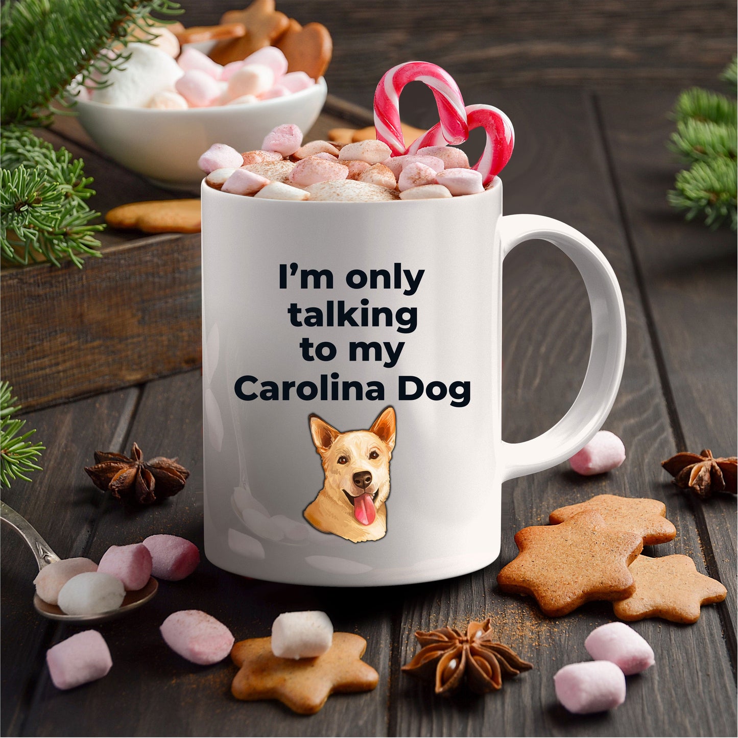 Carolina Funny Dog Coffee Mug - I'm only talking to my Carolina Dog