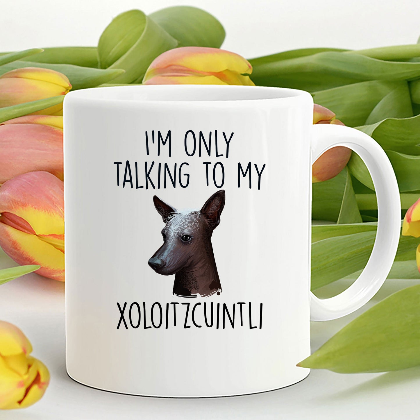 Funny Dog Coffee Mug - I'm Only Talking to my Xoloitzcuintli