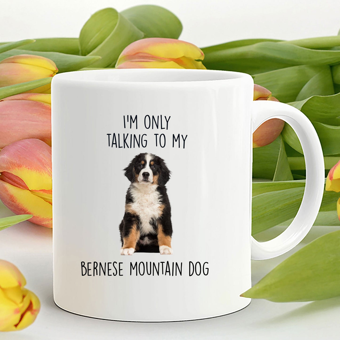 Funny Bernese Mountain Dog Custom Coffee Mug - I'm only talking to my dog