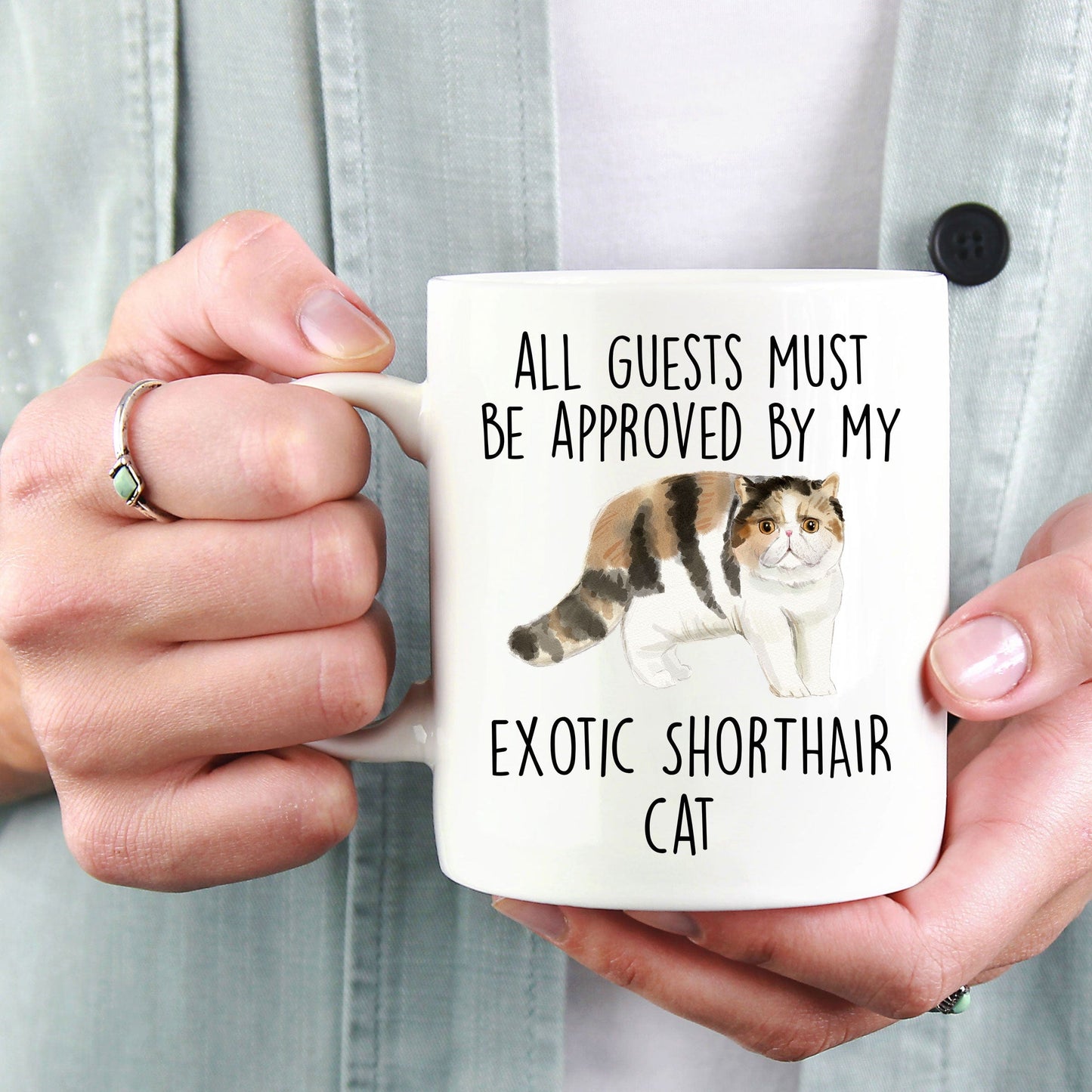 Exotic Shorthair Cat Funny Coffee Mug