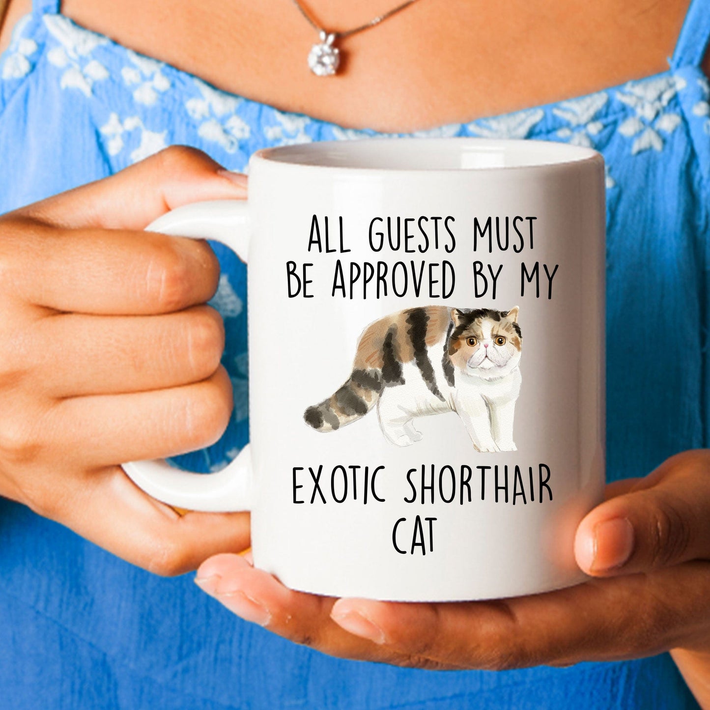 Exotic Shorthair Cat Funny Coffee Mug