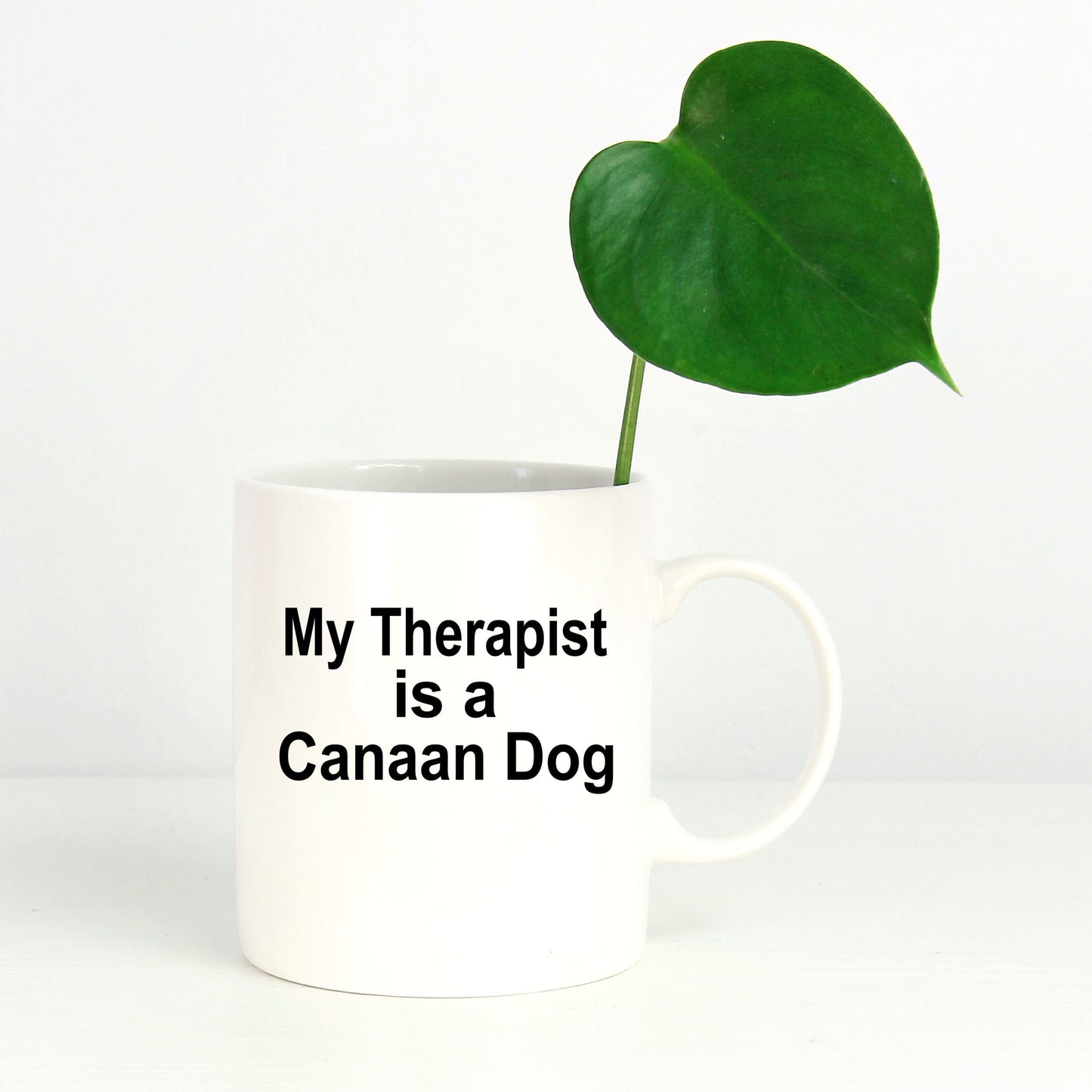 Canaan Dog Owner Lover Funny Gift Therapist White Ceramic Coffee Mug