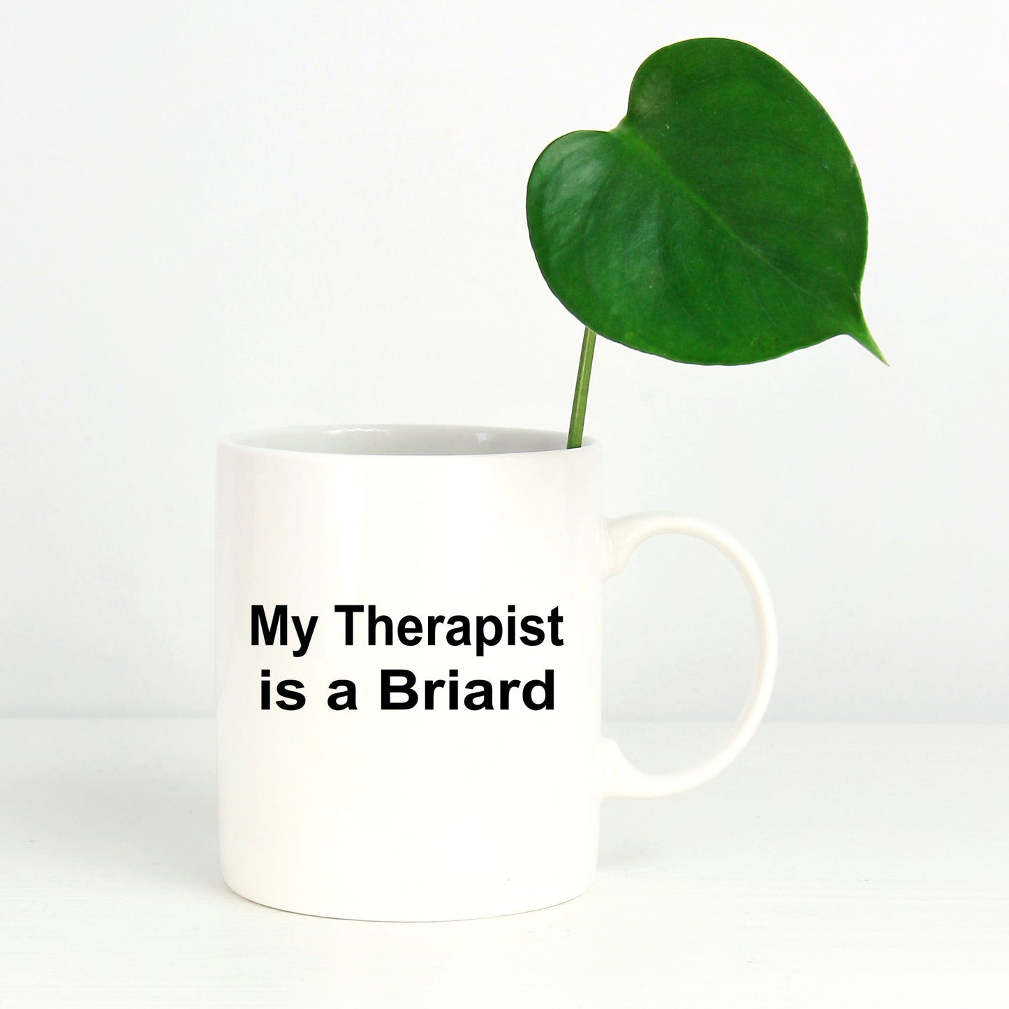 Briard Dog Owner Lover Funny Gift Therapist White Ceramic Coffee Mug