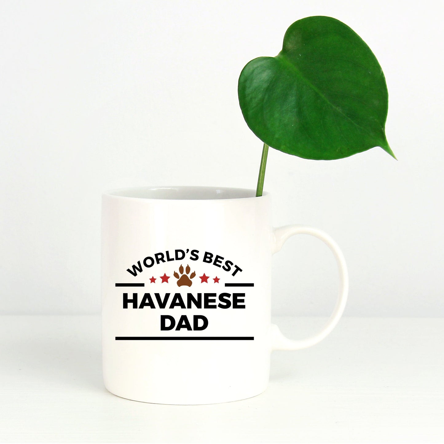 Havanese Dog Lover Gift World's Best Dad Birthday Father's Day Ceramic Coffee Mug