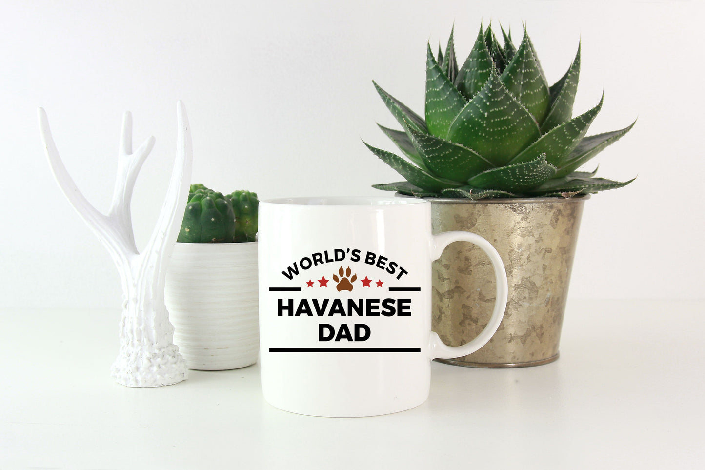 Havanese Dog Lover Gift World's Best Dad Birthday Father's Day Ceramic Coffee Mug