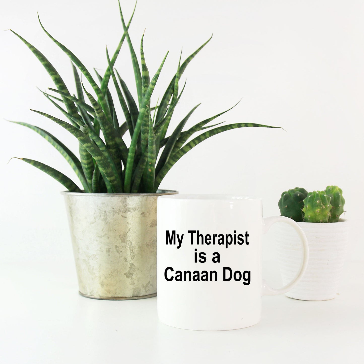 Canaan Dog Owner Lover Funny Gift Therapist White Ceramic Coffee Mug