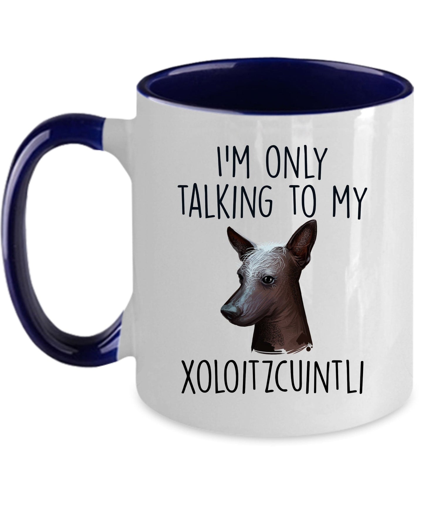 Funny Dog Coffee Mug - I'm Only Talking to my Xoloitzcuintli