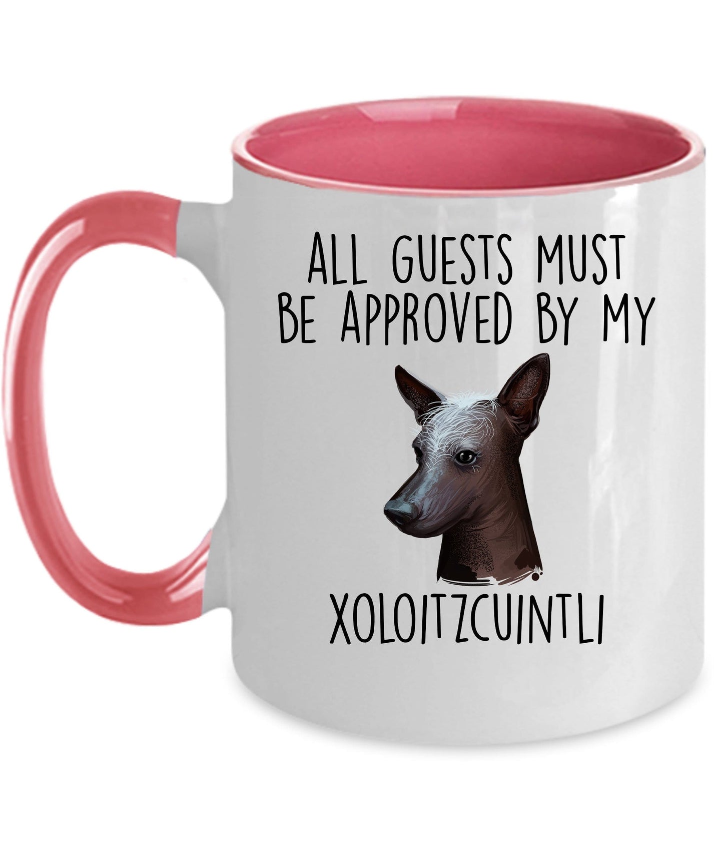 Xoloitzcuintli - Mexican Hairless Dog funny coffee Mug - All Guests must be approved