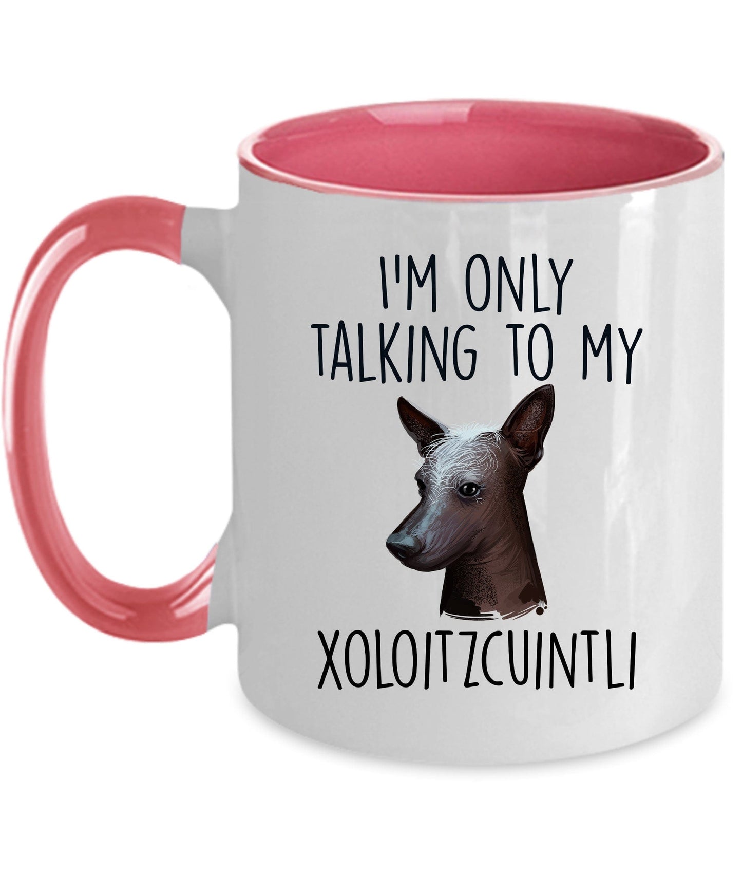 Funny Dog Coffee Mug - I'm Only Talking to my Xoloitzcuintli