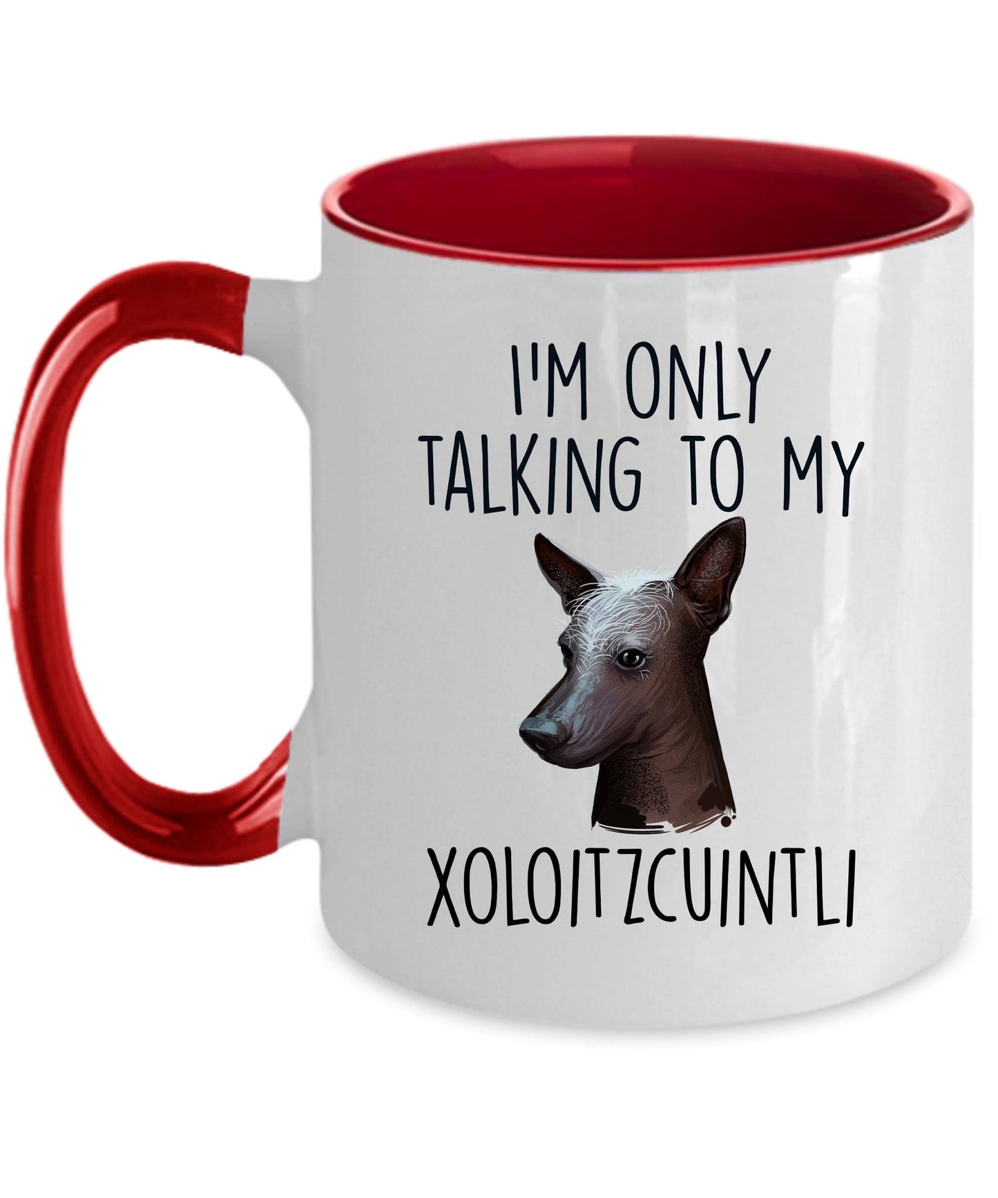 Funny Dog Coffee Mug - I'm Only Talking to my Xoloitzcuintli