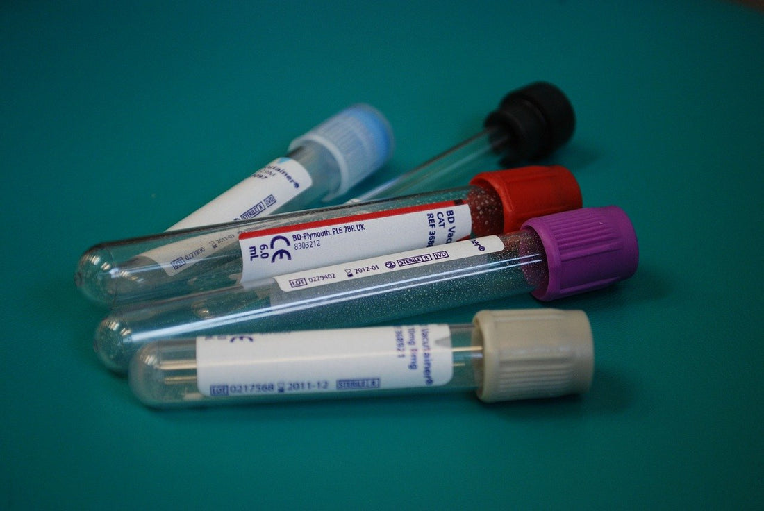 Routine Blood Work for your pet