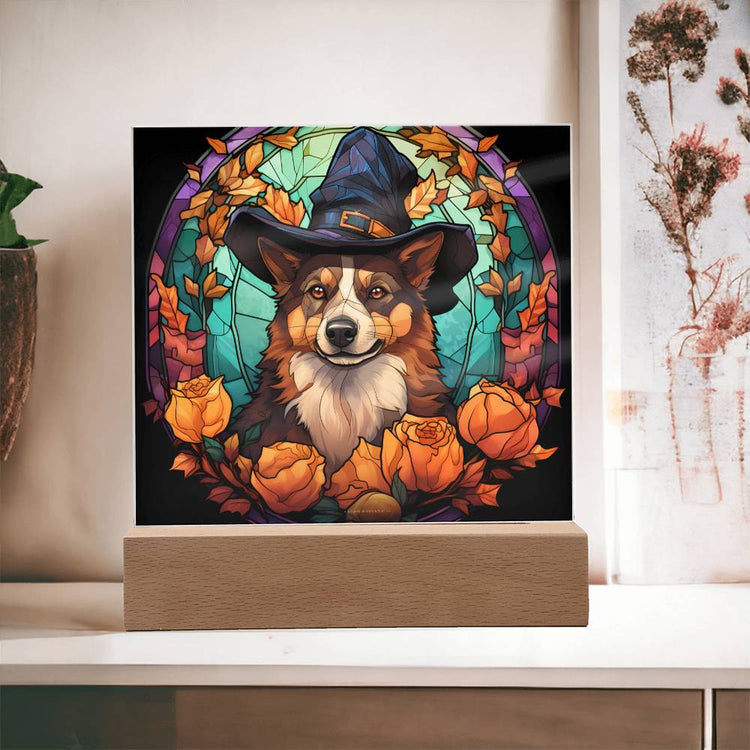 Spring Pet Products – Spring Pets