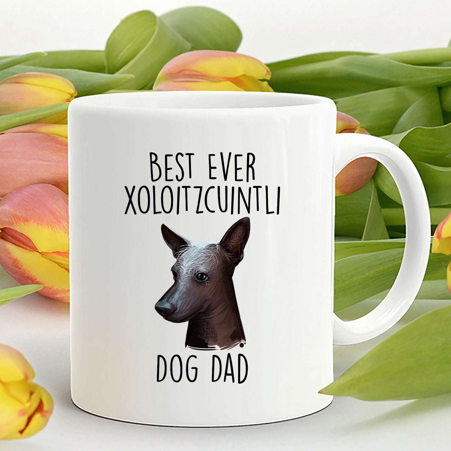 Best Ever Xoloitzcuintli Dog Dad Custom Ceramic Coffee Mug