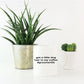 Got A Little Dog Hair in My Coffee - Groomerlife - Makes the Perfect Gift for a Dog Groomer