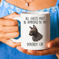 Donskoy Cat Funny Coffee Mug - All Guests Must Be Approved