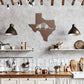 Texas Armadillo Metal Art