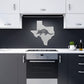 Texas Armadillo Metal Art