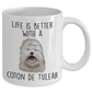 coton de tulear