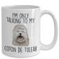 Coton de Tulear Dog