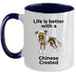Chinese Crested Dog Owner Lover Funny Gift Therapist White Ceramic Coffee Mug