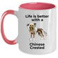 Chinese Crested Dog Owner Lover Funny Gift Therapist White Ceramic Coffee Mug