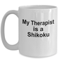 Shikoku Dog Owner Lover Funny Gift Therapist White Ceramic Coffee Mug