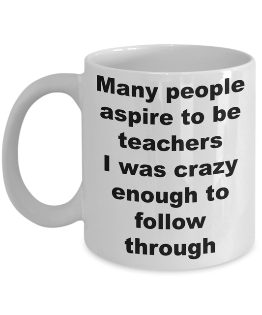 Teacher Funny Gift - Many people aspire to be teachers I was crazy enough to follow through