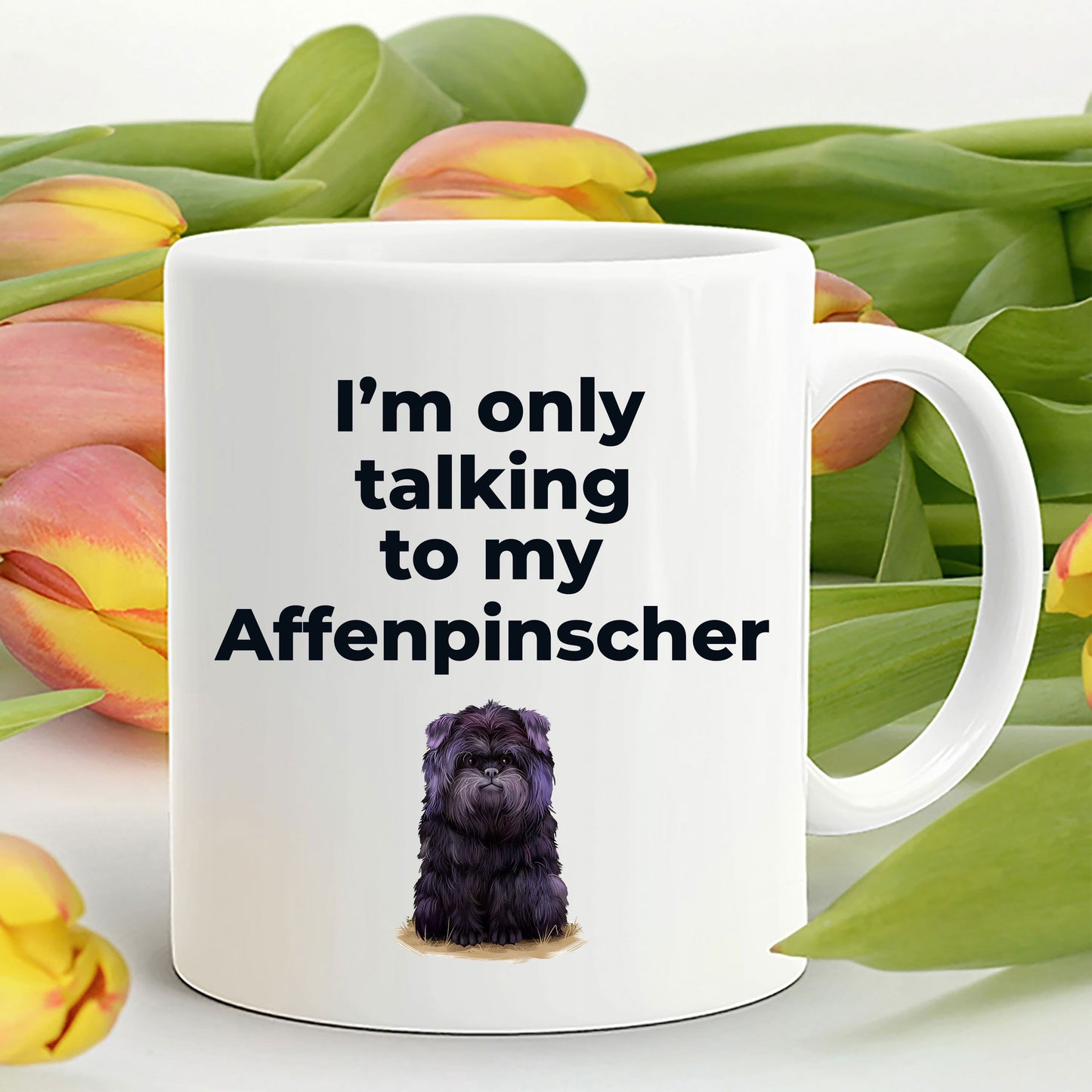 Affenpinscher dog funny coffee mug - I'm only talking to my Affenpinscher