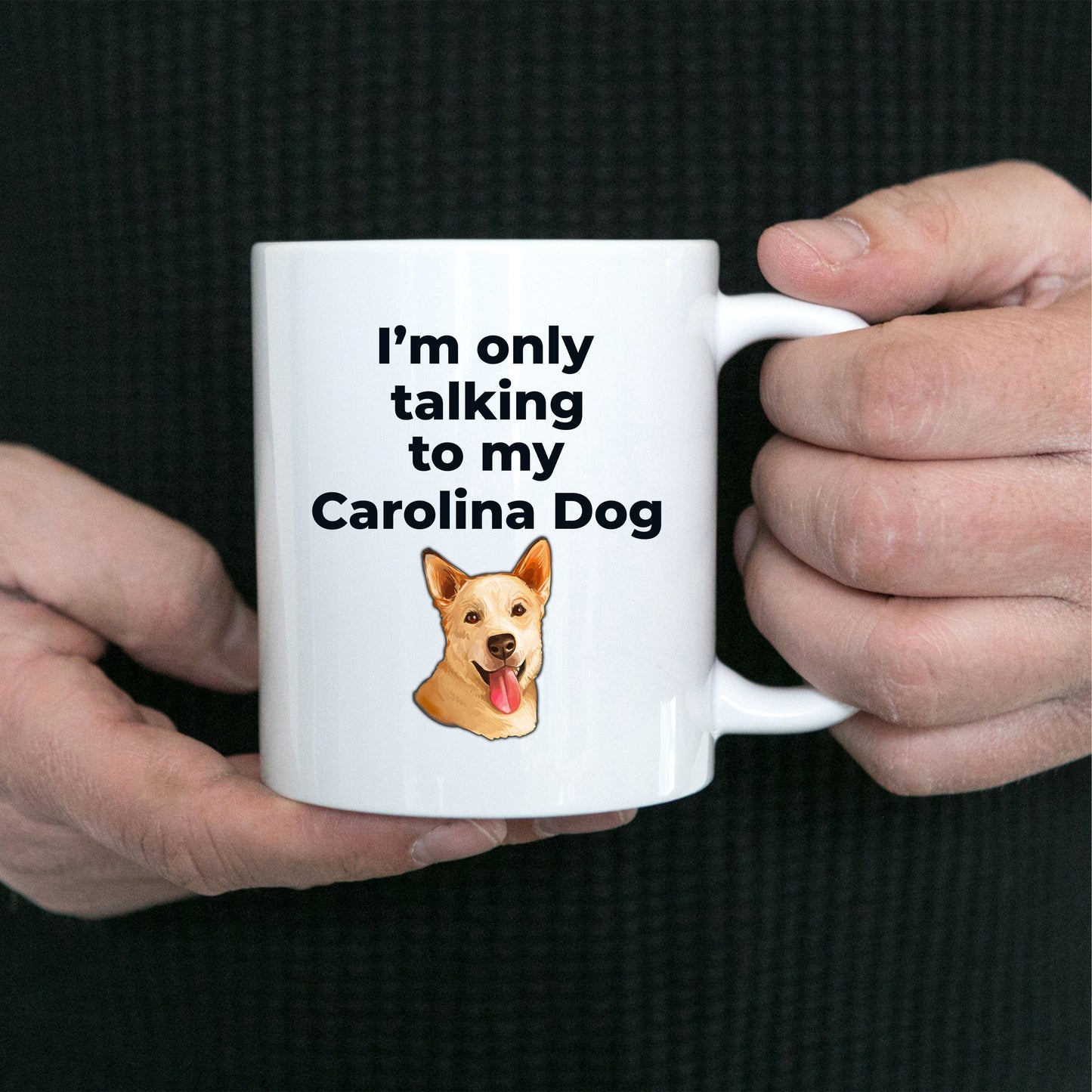 Carolina Funny Dog Coffee Mug - I'm only talking to my Carolina Dog