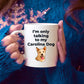 Carolina Funny Dog Coffee Mug - I'm only talking to my Carolina Dog