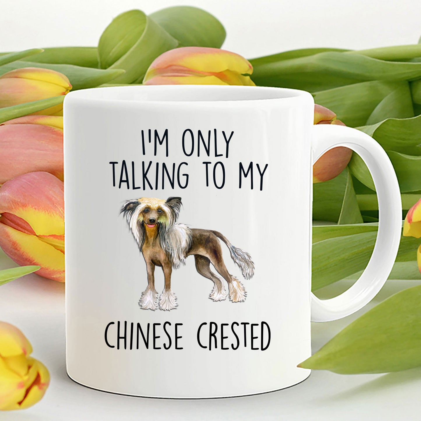 Chinese Crested Dog Funny Ceramic Coffee Mug - I'm Only Talking to My Chinese Crested