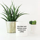 This Labor and Delivery Nurse Needs More Coffee Funny Novelty Ceramic White Mug