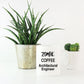 Architectural Engineer Zombie Gift White Ceramic Coffee Cup