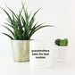 One Incredible Grandmother Coffee Mug Makes A Great Gift for Mother's Day or Birthday